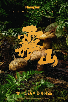 啾几语采集到海报
