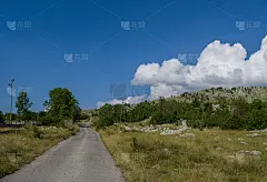 绿意环绕的道路