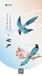 七夕传统节日蓝色中国风海报图片-在线PS设计素材下载-千库编辑
