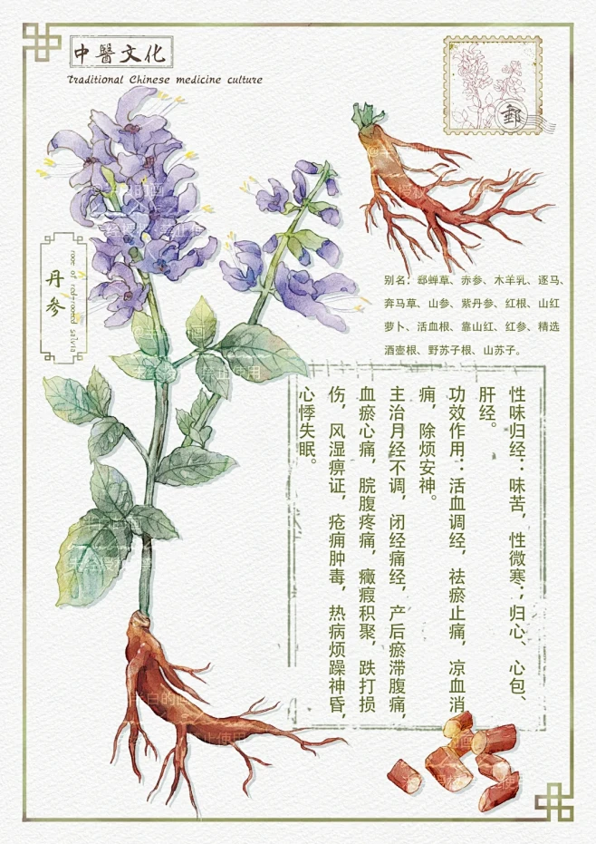 中草药插画｜本草纲目｜植物插画 - 小红...