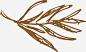 叶子火锅食物香料免抠素材 设计图片 免费下载 页面网页 平面电商 创意素材 png素材