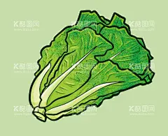 生菜手绘  - 源文件下载【酷图网】生菜手绘,生菜矢量,大白菜,青菜,青菜手绘,青菜卡通,青菜矢量,小青菜,蔬菜手绘,蔬菜矢量,