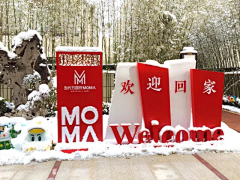 王amo采集到美陈