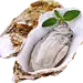 生蚝 ，牡蛎 png
