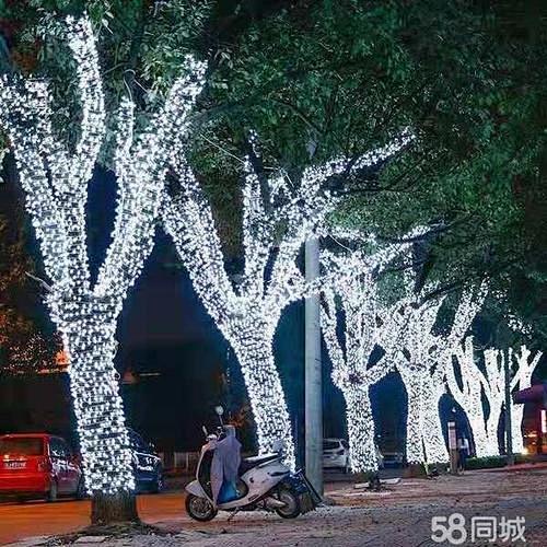 树木亮化_百度图片搜索