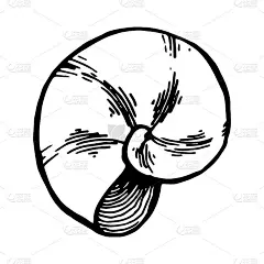 单一元素的海贝在涂鸦夏季设置。手绘矢量插图贺卡，海报，贴纸和季节设计。