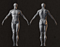 Sketches of human anatomy