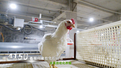 TaoJuno采集到视频/字幕/花字/视频框