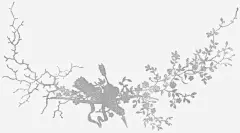 布料纹理手绘花纹高清素材 剪影 古典花纹图片素材 古典花纹素材 植物花纹 欧式纹理 纹理背景 金属纹理素材 镂空花纹图片 免抠png 设计图片 免费下载