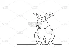 数字75,可爱的,纸牌,线条,贺卡,复活节,一个物体,背景分离,野生动物,铅笔