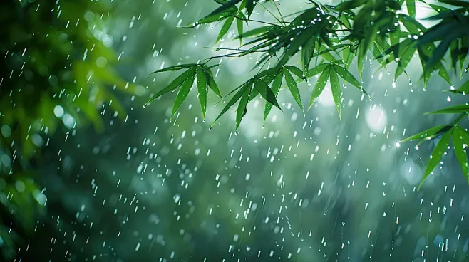 【AI数字艺术】雨中竹林竹叶特写,二十四节气雨水谷雨图片下载