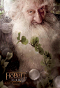 Hobbit Character Posters