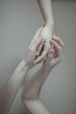 #插画狂想# 手。（by Laura Makabresku） ​​​​