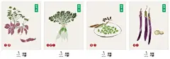 《四季蔬：小白素食记录 素食餐饮品牌创始人 小白 作品 烹饪美食，家常材料 素食菜谱 健康养生 (附赠精美手绘彩色拉页，记下你的独家食谱 平常蔬菜的简单美味自然纯粹的素心..._简介_书评_在线阅读-当当图书