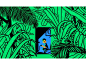 TED / nature can be as engaging as video games