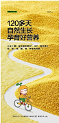 黄小米产品视觉_张帅_【68Design】图片_大米详情页图片素材-花瓣网