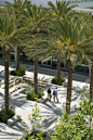 ASLA 2005 Professional Awards