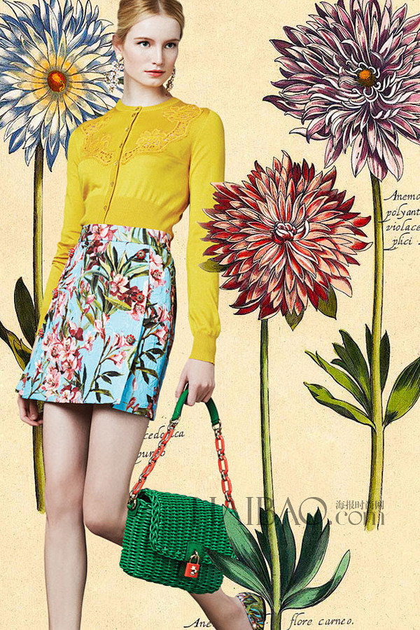 杜嘉班纳 (Dolce&Gabbana)...