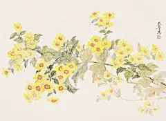 这小雏菊也太美了吧