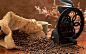 General 2560x1600 coffee beans
