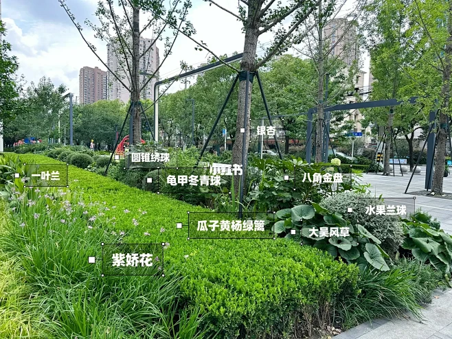 高级感十足的植物配置（中兴路一号商业）