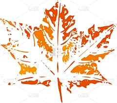 颜色,秋天,纹理效果,枫叶,分离着色,自然,脉搏图,草本,收集