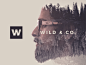 Wild＆Co.的插图