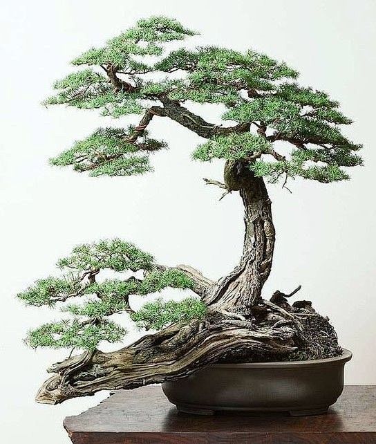 (1253) Pinterest