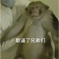 【-圣-】采集到嗡嗡嗡
