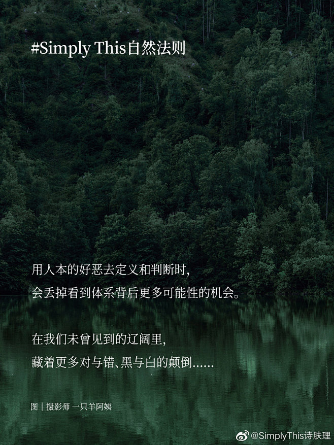 @SimplyThis诗肤理 的个人主页...