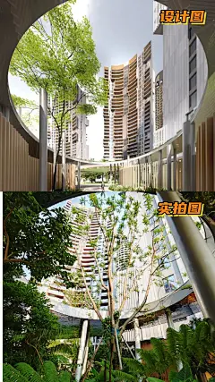 我家小区的卖家秀 VS 买家秀 - 小红书