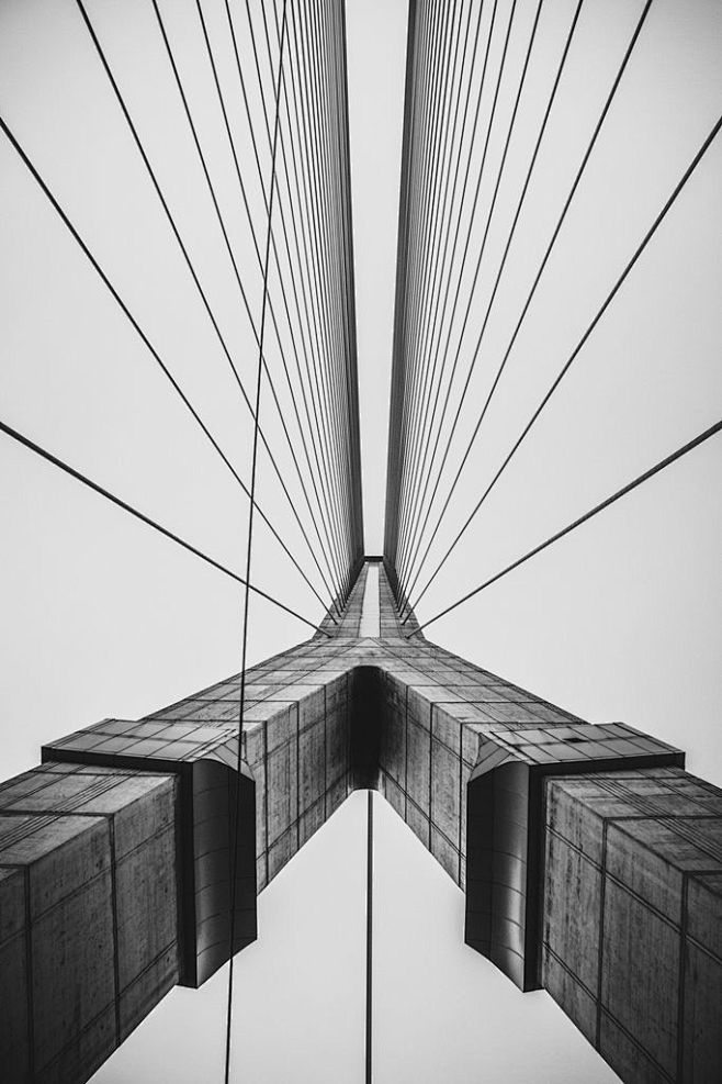 Bridge by Dennis Jir...