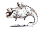 inktober__6___pudgy_dragon_by_eoghankerrigan-d9ci15v