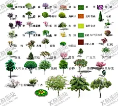 乔木类 【酷图网】一片绿叶,绿叶植物底纹,绿树,免抠植物,园林风景树,花丛,草地,抠图素材,高清晰抠图,PS抠图,psd植物抠图,psd分层抠图,风景树,树木素材,树木园林,灌木,花草树木,绿植,绿化带,树木,树丛,植被,植物,园林,小区绿化,园林景观素材,树林