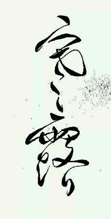 com采集桦柒采集到菊花体素材1橡皮章素材 24节气 黑白 线稿 古风