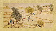 棉花图册图片_棉花图册高清图片_棉花图册图片下载