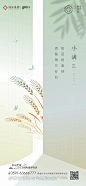 小满
