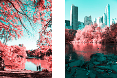現實設繪-leading采集到“红色滤镜”里的纽约中央公园