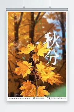 简单二十四节气秋分海报