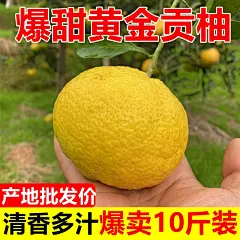 怀化洪江黄金贡柚春香桔柚象山青新鲜甜柚湖南雪峰山10斤大果礼盒-淘宝网