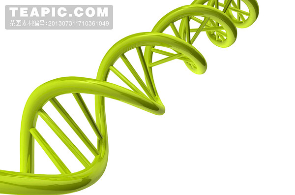 DNA基因序列链模型高清图片