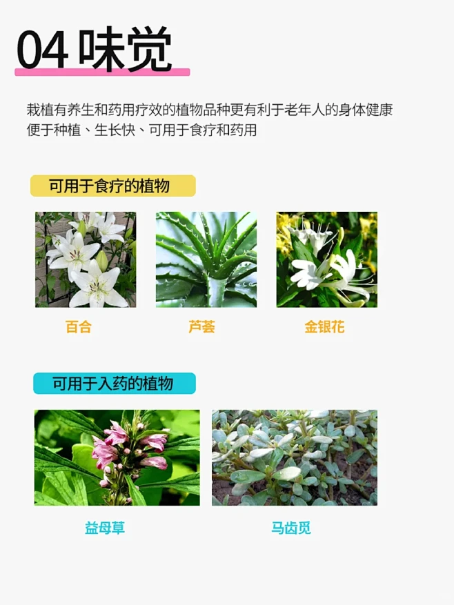 五感疗法 怎样设计理想的疗养花园？ - 小红书-花瓣网
