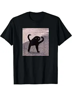 诅咒猫表情包：诅咒猫生气得要死表情包 t 恤 棉质趣味设计 diy 男士柔软透气夏季和冬季舒适休闲运动万圣节和圣诞节礼物