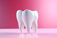口腔护理人体医疗牙医口腔牙齿模型