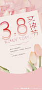 【仙图网】海报 地产 公历节日 三八妇女节 女神节 女王节 信封 郁金香|747354 