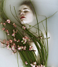 Monia Merlo Photography