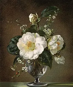 【微图秀】灵魂深处的美丽和寂寞，总需要一个人来读懂。——安妮宝贝 - 绘画艺术 #插画# #采集大赛#