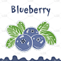 Blueberry vector illustration, berries images. Doo