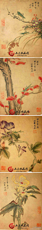//@山东收藏网: #古画# 赏析：马荃《花卉草虫册十二页》 -聚宝江湖古玩论坛 - Powered by Discuz! 清代女画家。自幼聪慧，妙得家法。工花草，设色雅丽，姿态端庄静逸。绘画师法陆治、沈周，晚年名日高。http://t.cn/zROYMkD - 原文地址：http://t.cn/8F57yTA