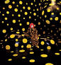 “Ifinity Mirror Room”  By Yayoi Kusama